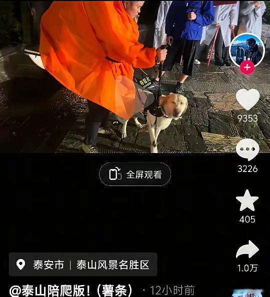 真不太明白，盲人爬泰山的目的是什么？出了问题会不会是景区的责任？这个世界，越来越