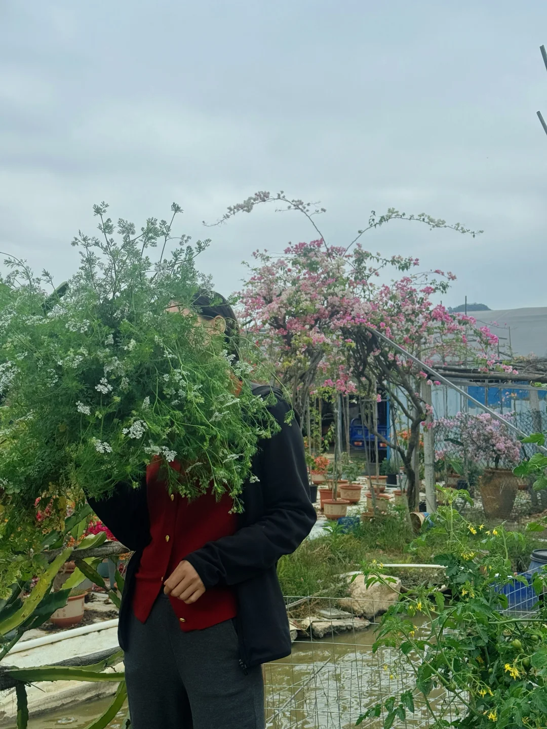 你们猜猜这是什么花