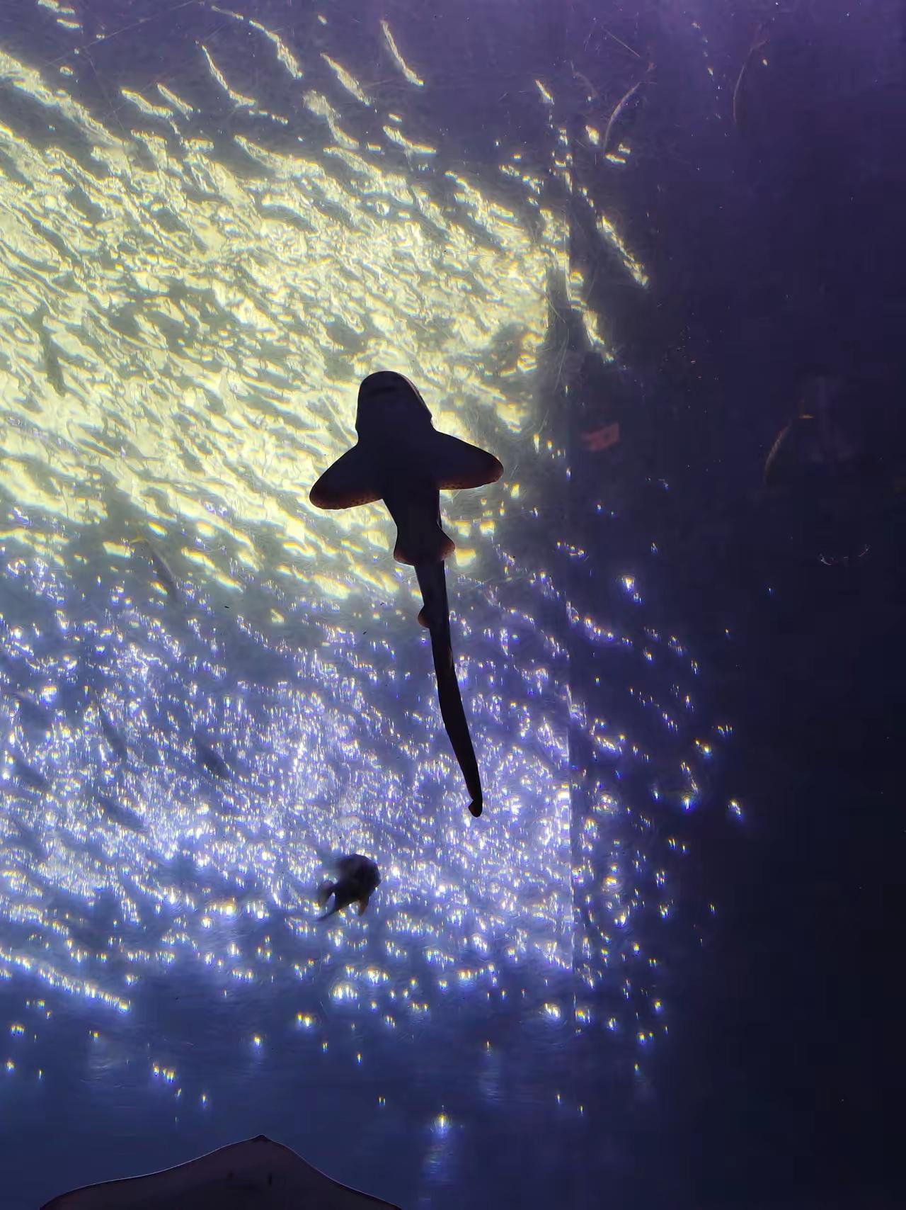 2026年，普通人的股市赚钱机遇？
 
直觉有时候很神奇，它就像一种内心的声音。