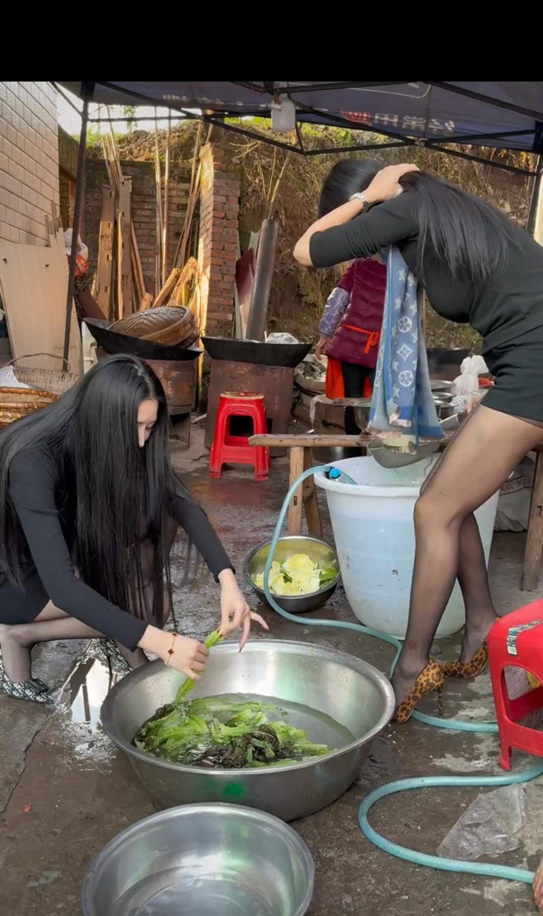 食物链顶端第十七集