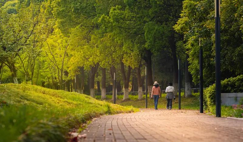 一天天变老别慌！虽然衰老不可逆，但咱能积极应对。生活习惯上，每天坚持散步半小时，