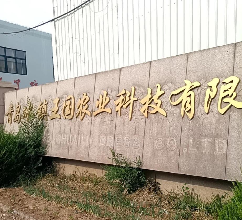 秋日生活打卡季2025年初，即墨区市场监督管理局查处了即墨区天山二路116号青岛