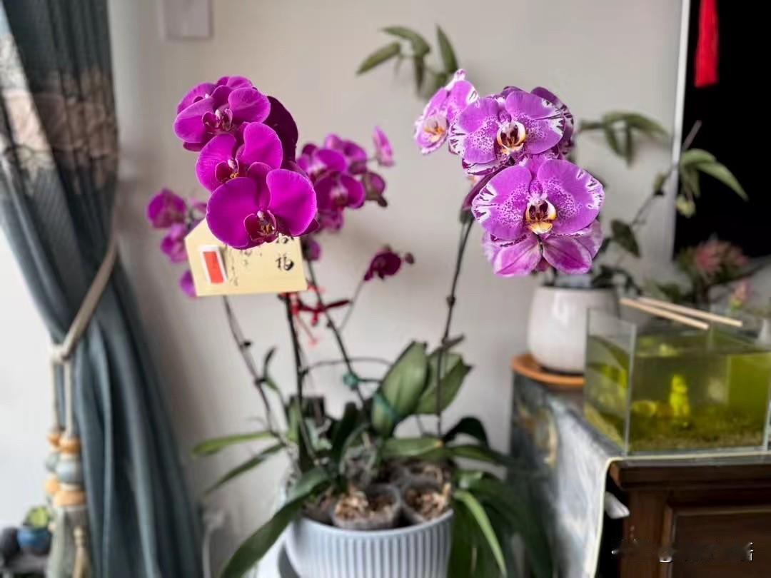 45岁往后，健康不是第一，排在第一的是这2样

健康对活着有多重要不必说，但决定