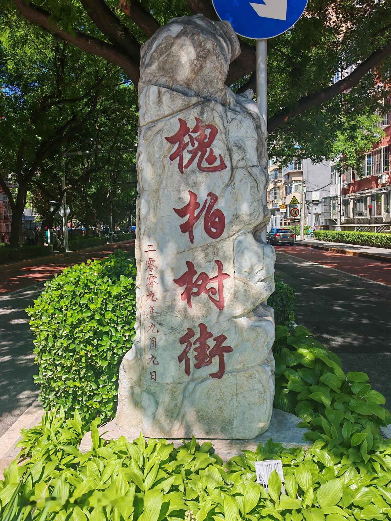 在槐柏树街旁街随手一拍，那风景真绝了。这里有宣武艺园，妥妥的闹市清凉地。它占地约