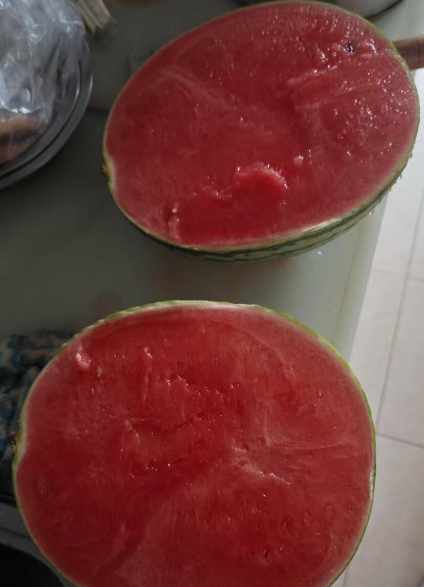 这样品质的西瓜🍉叫啥瓜？
这才叫皮糙肉厚[微笑][微笑][微笑]