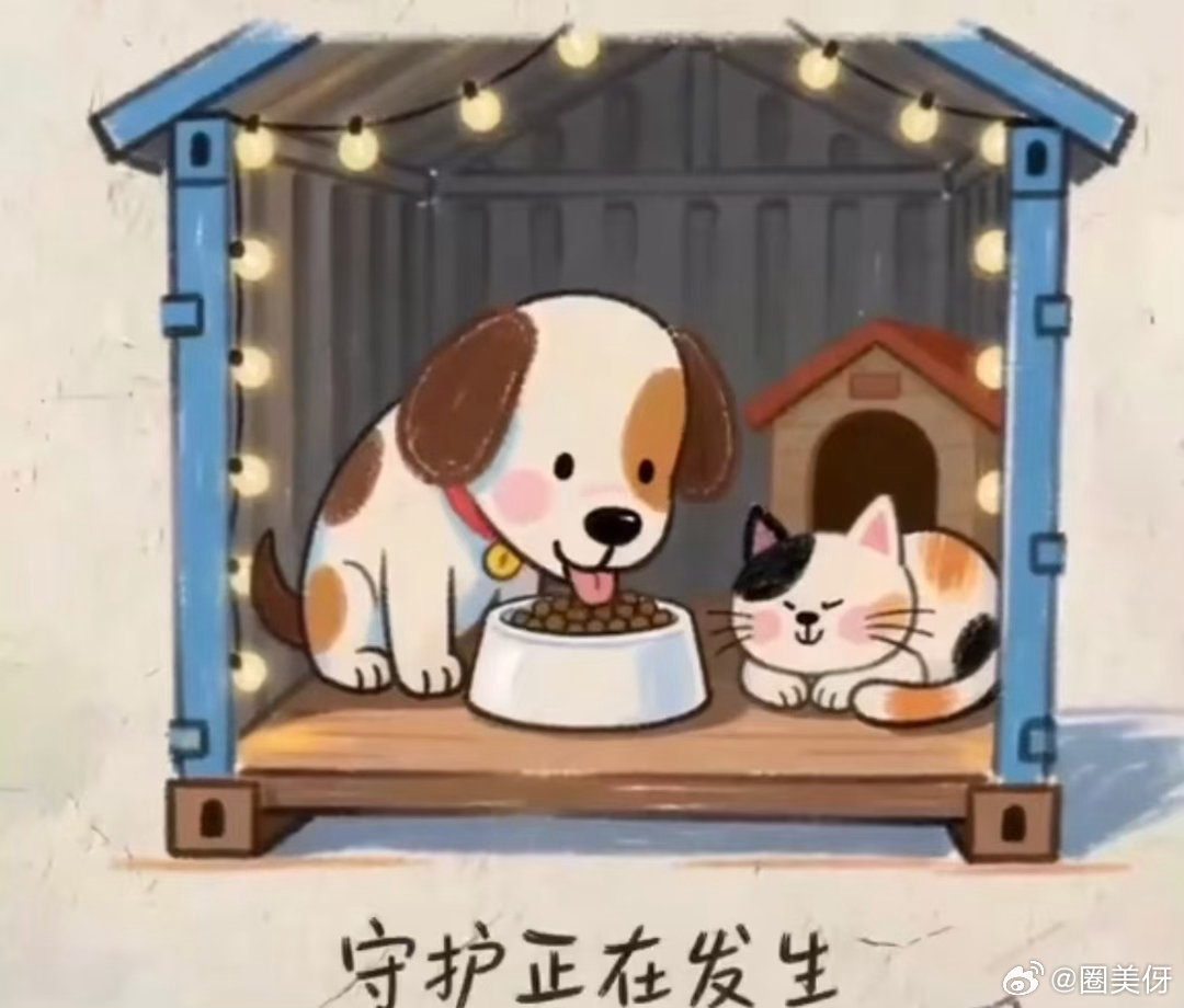 鸿星尔克门店收留流浪动物 看完这次门店收留小狗的故事真的被暖到了。店员在路上看到