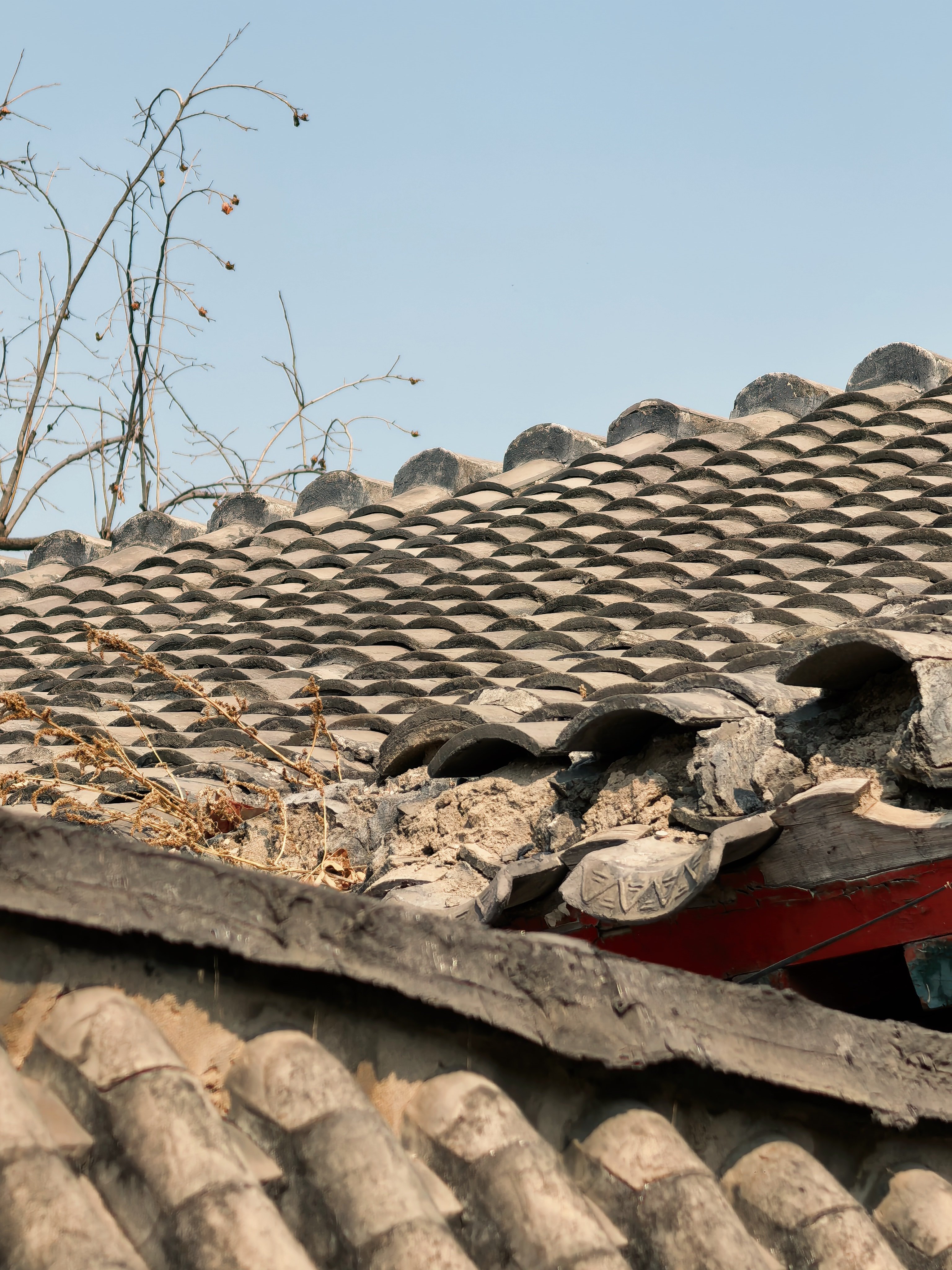胡同里的生活很巴适安逸～没事上后海边上打打牌下下象棋有人在钓鱼有人在游泳，这景很
