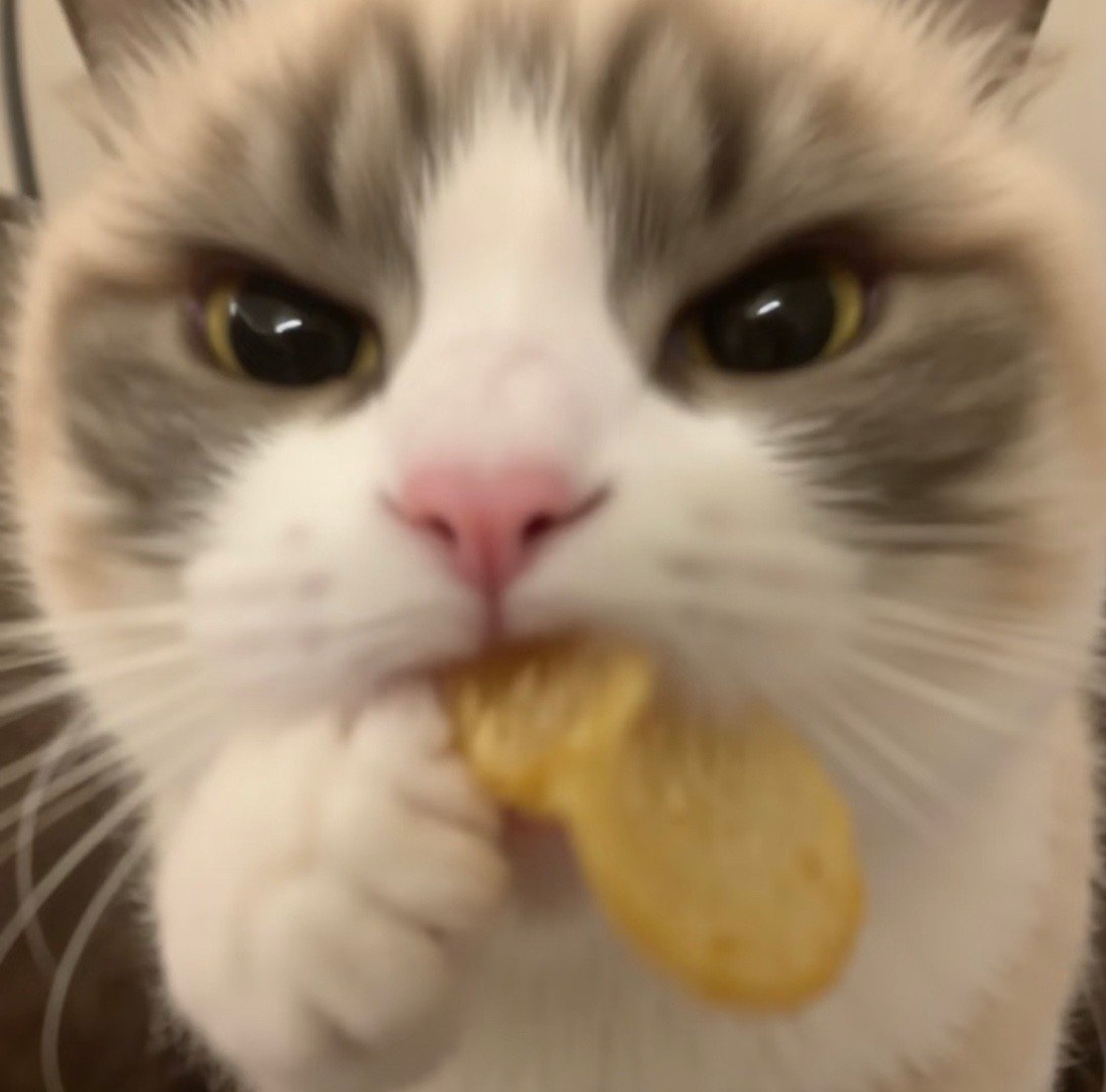 爱吃薯片的人天塌了 以为是塌了，没想到是说薯片油大，还好…还好….. 主要薯片的