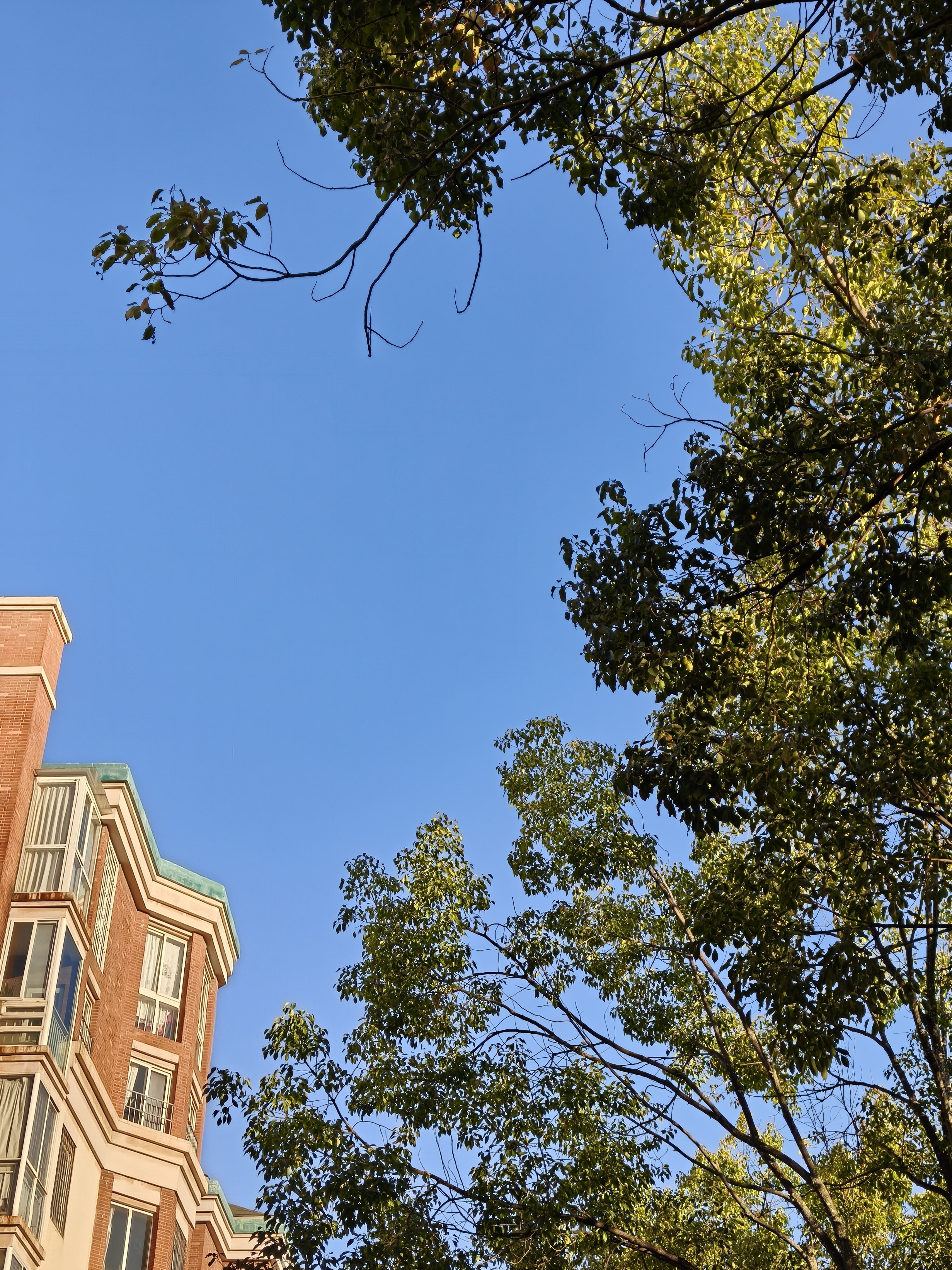 晨练一下，图4这个搭配如果是银色或者白色就完美到极致了