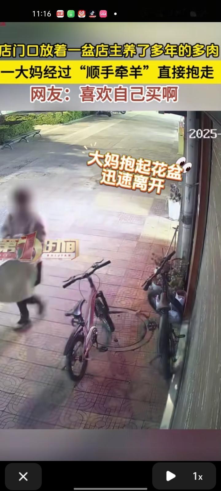 12月17日，大理州祥云县。店主晒出监控视频，店门口放着自己养了多年的多肉，有位