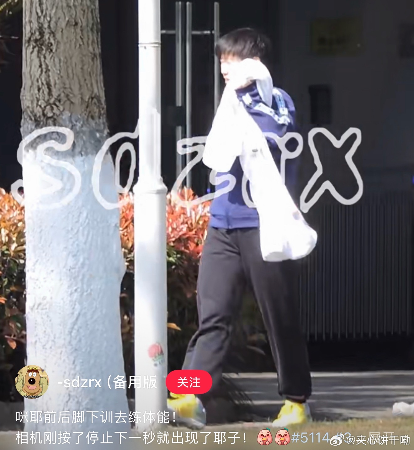 莎莎大头前后脚下训练体能啦～两宝都被晒眯了眼，莎莎还用毛巾挡太阳🌞