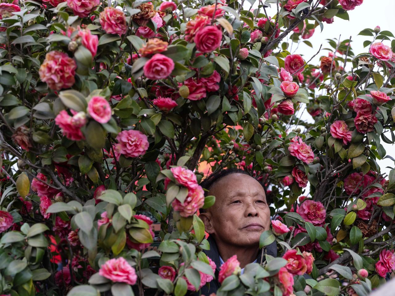 拍到一张自己喜欢的照片，不知道你们觉得我是不是花痴。用的相机是著名的富士亿像素二