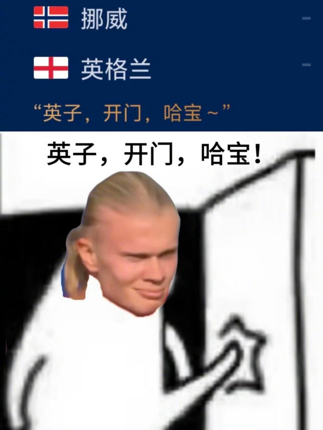 英子咋关门了哈宝还没进挪威童话刚翻开第一页，就被英子的铁桶阵合上了书。哈兰德空有