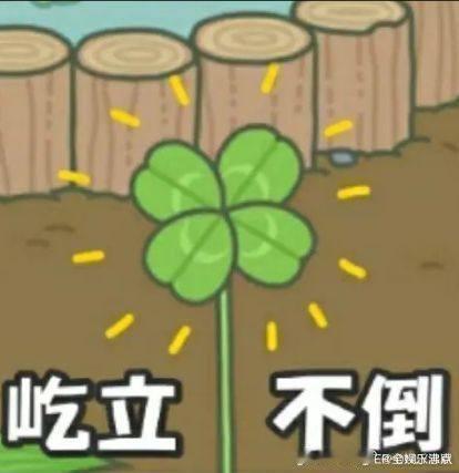 提到易烊千玺第一时间想到王俊凯王源杨迪在节目里的反应就是我的心声啊，提到易烊千玺