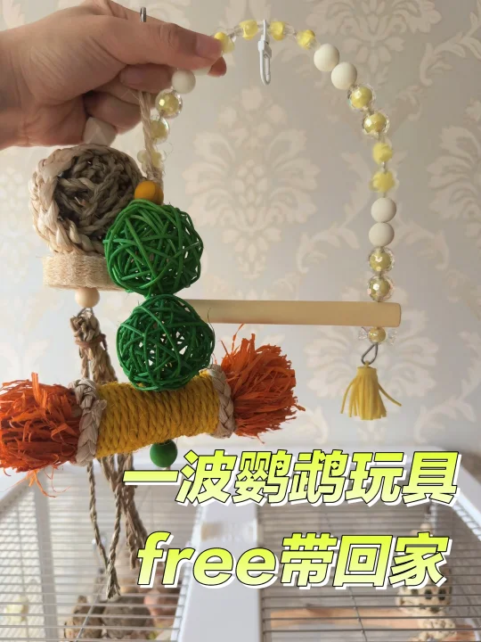 芒果说要把这几个玩具送给最可爱的小鸡