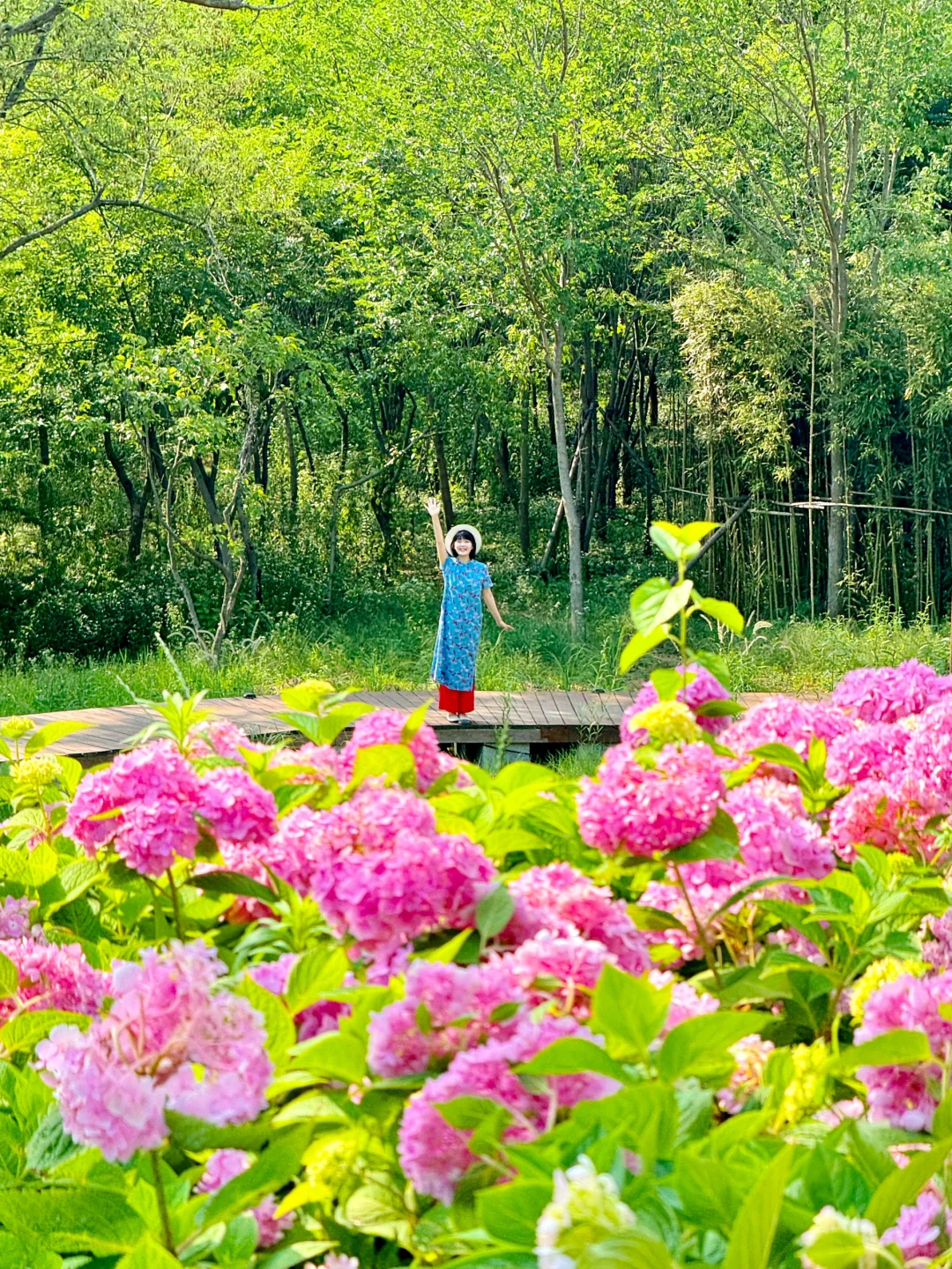 青岛浮山脚下的新中式茶铺，真的好松弛治愈！