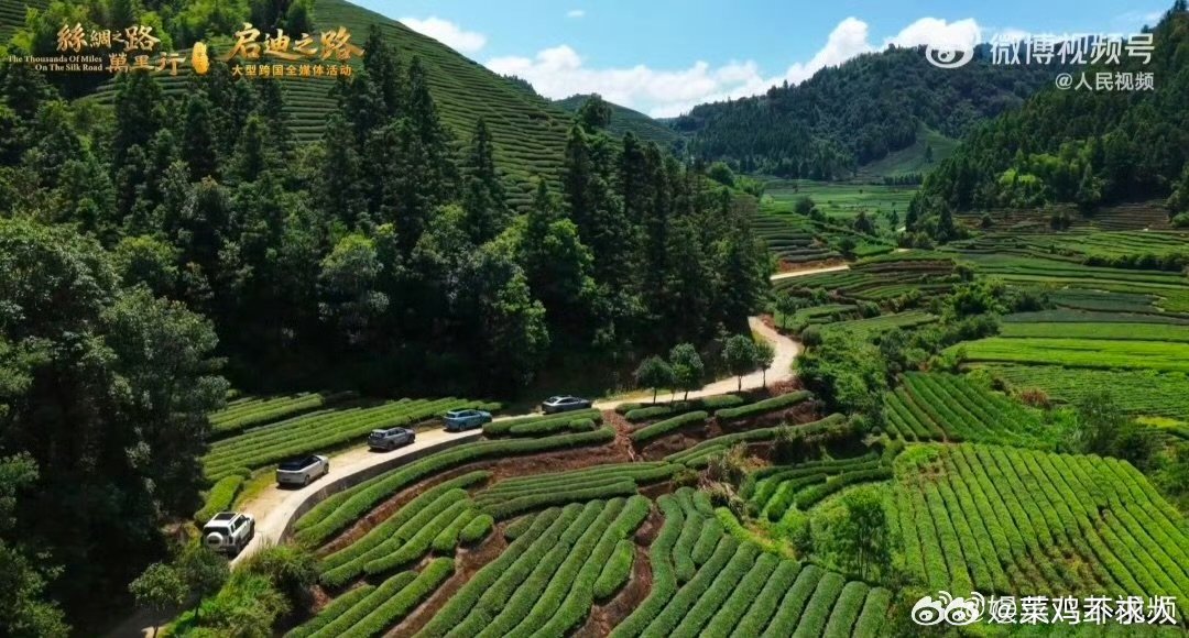 被武夷山的绿狠狠治愈 漫山草木焕发生机，万顷绿意抚平焦虑，静坐山中，听风煮茶，沉