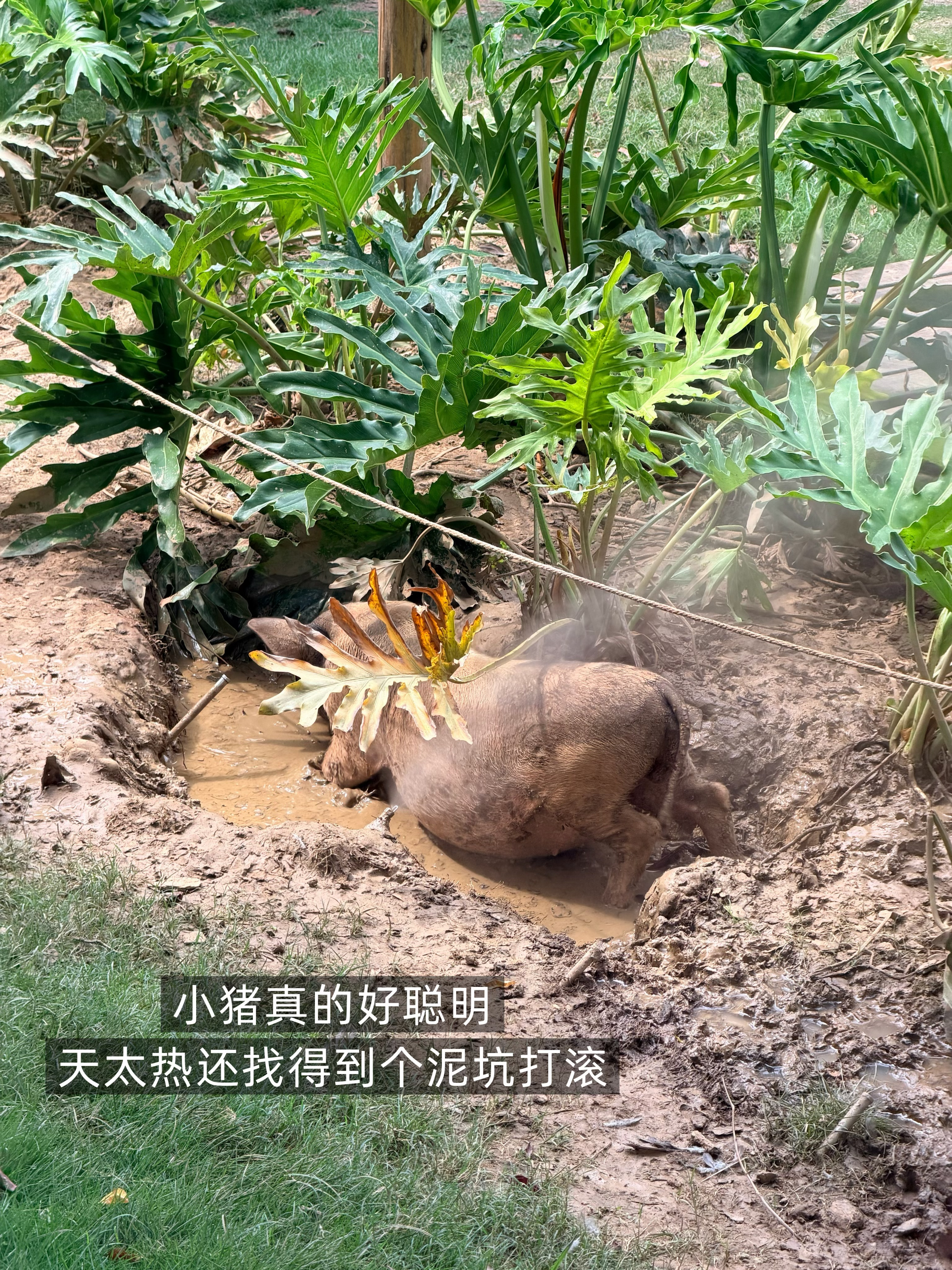 栓log这下真给我p力竭了 杂七杂八都搞进去了 整整18张图 不看完不准划走