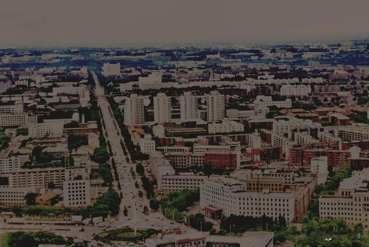 俯瞰城市街景，感受繁华与宁静的交织。去看无动力的香坊。