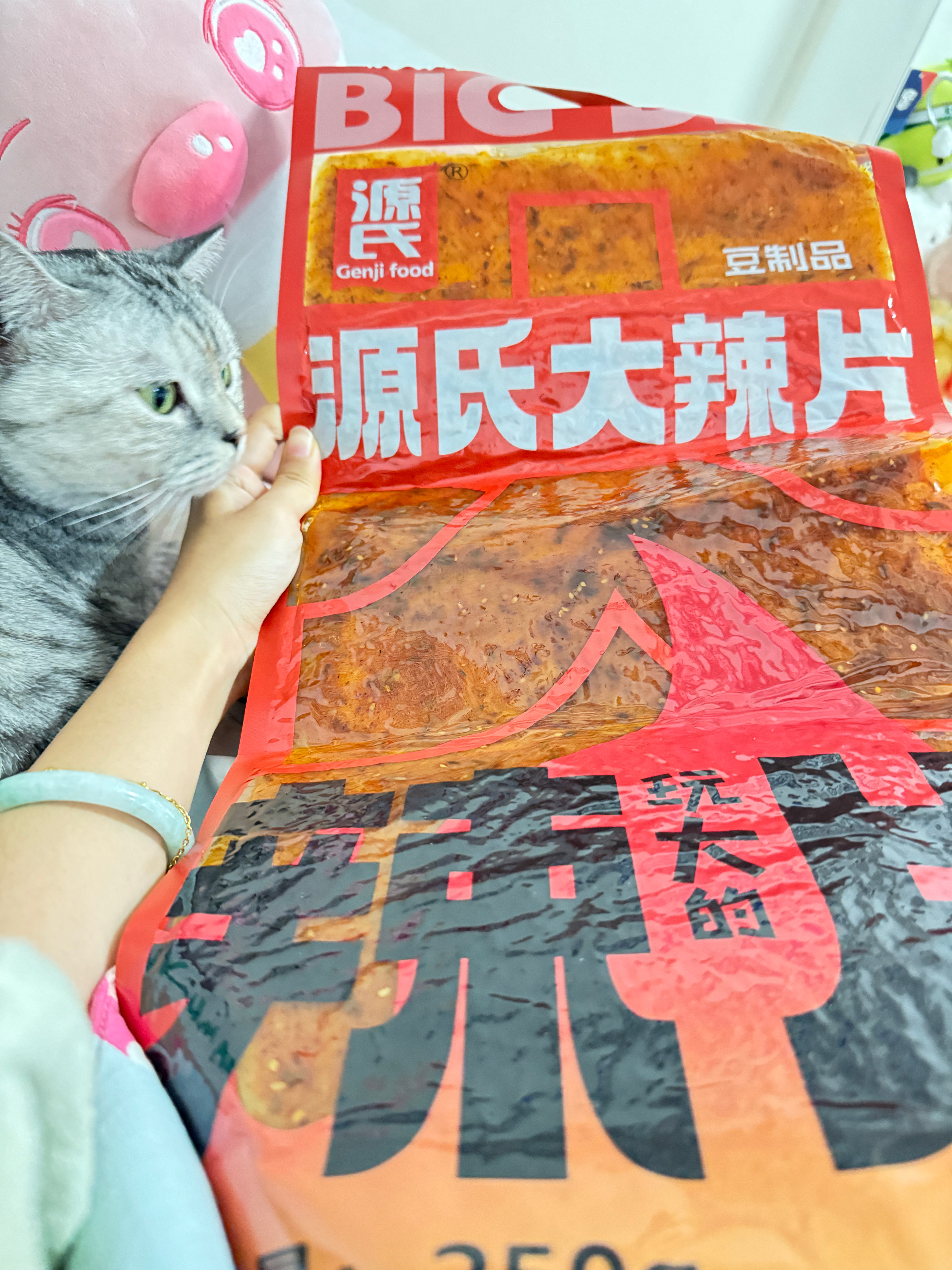 嘿嘿今天休息在家看剧吃零食撸小猫🐱 你们干啥呢 