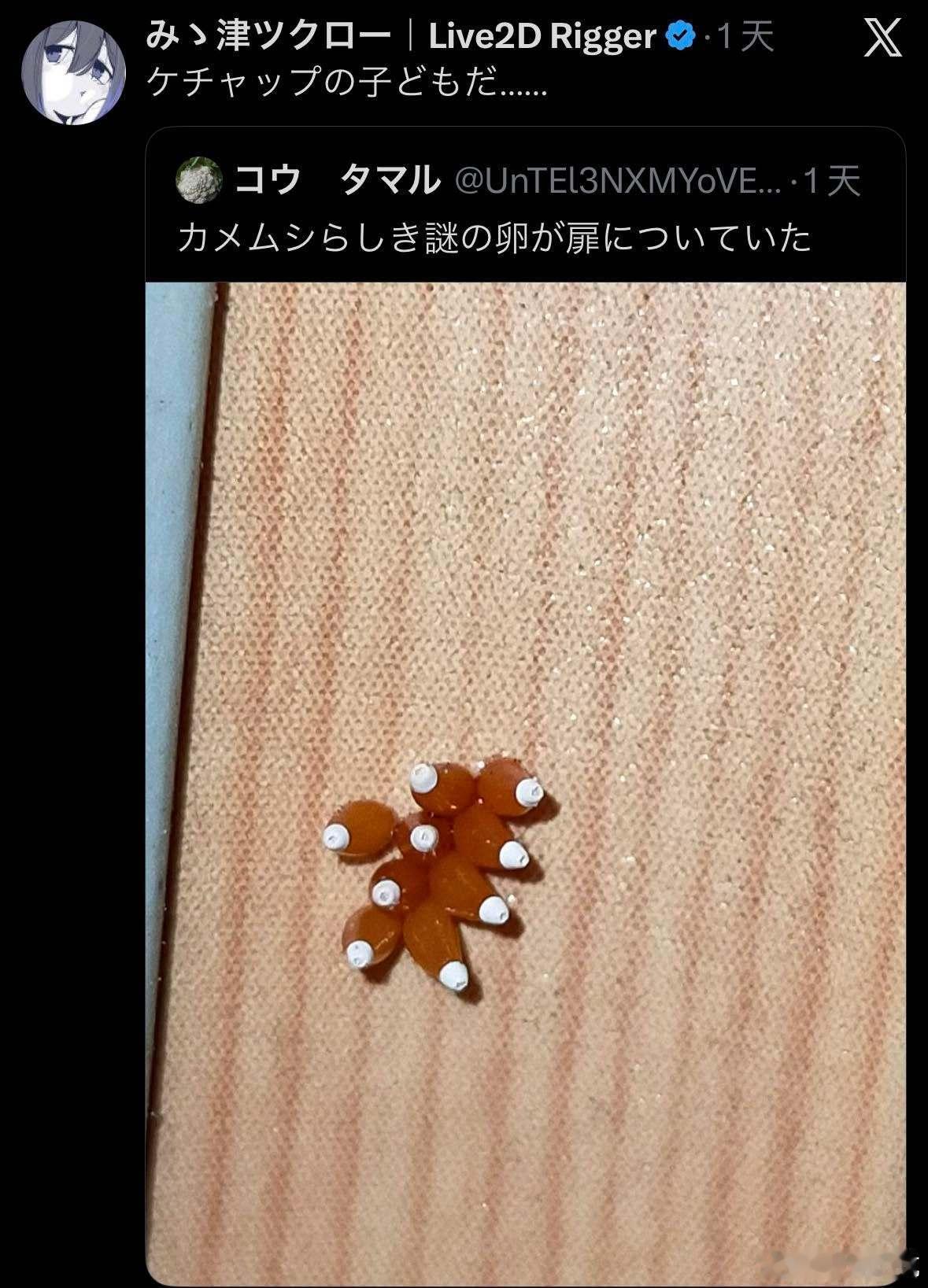 推主：这什么的卵？、网友：番茄酱的孩子吧 