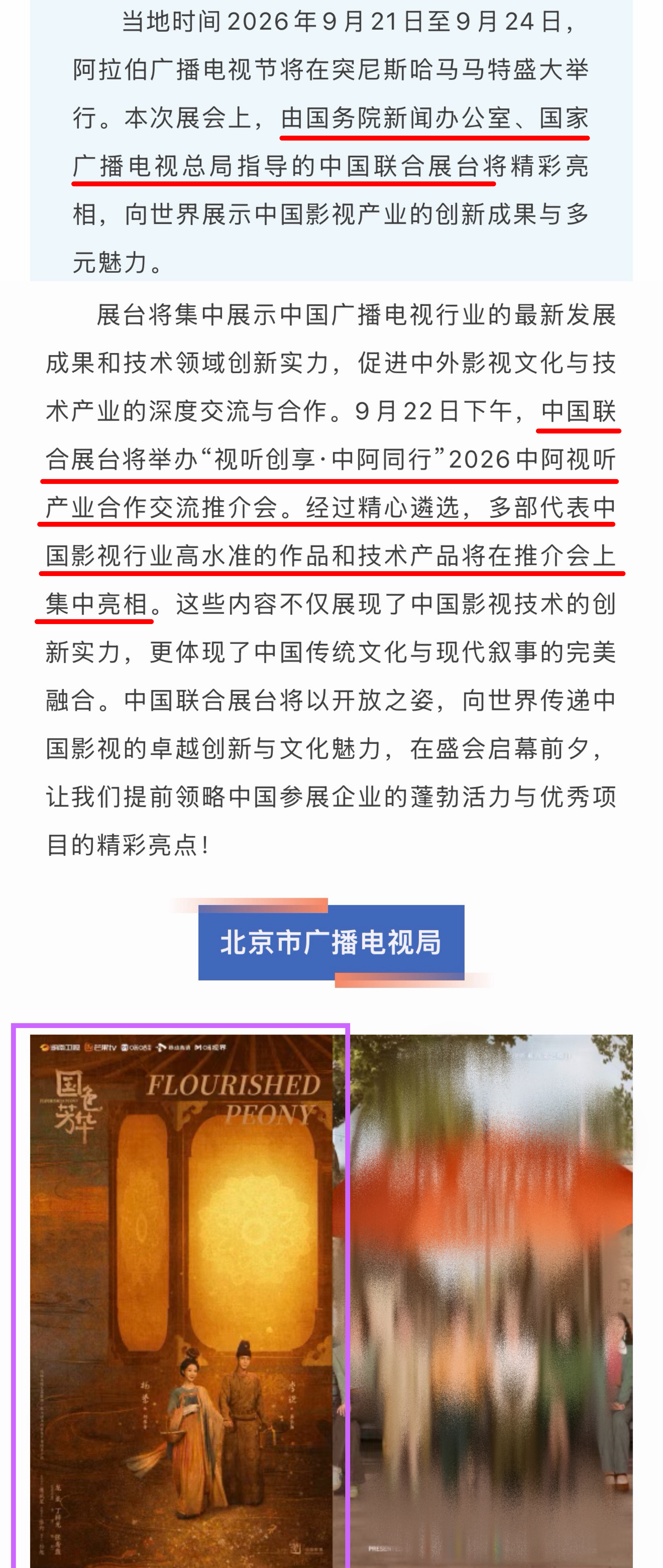杨紫《国色芳华》奖亮相中国联合展台举办的2026中阿视听产业合作交流推介会，代表