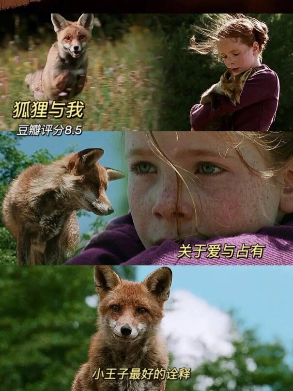 10部适合缓解焦虑的电影🎬 