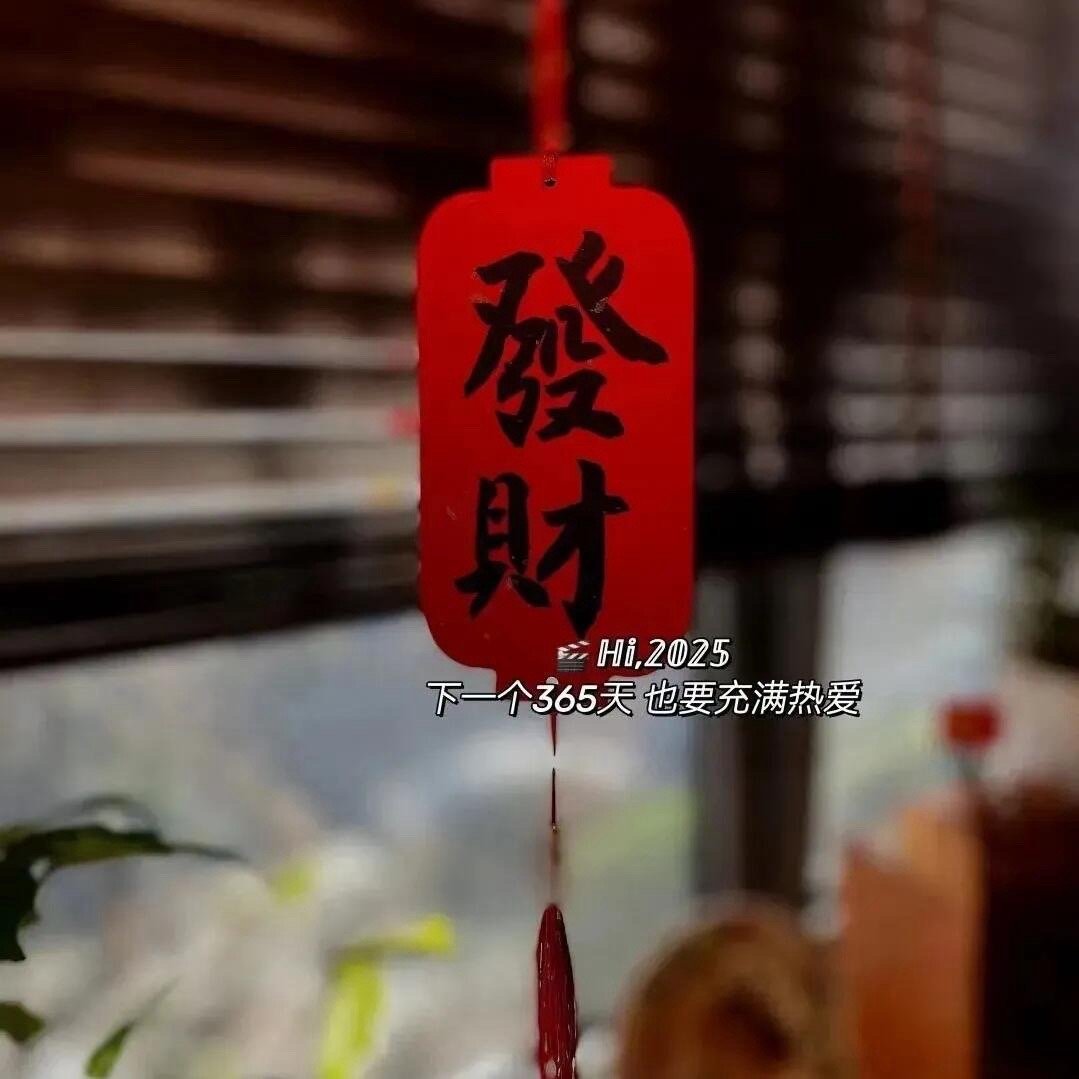"ᑋᵉᑊᑊᵒᵕ̈²⁰²⁵⸜❤︎⸝旧事翻过往，新年迎新光愿今后的日子，以如常为喜，