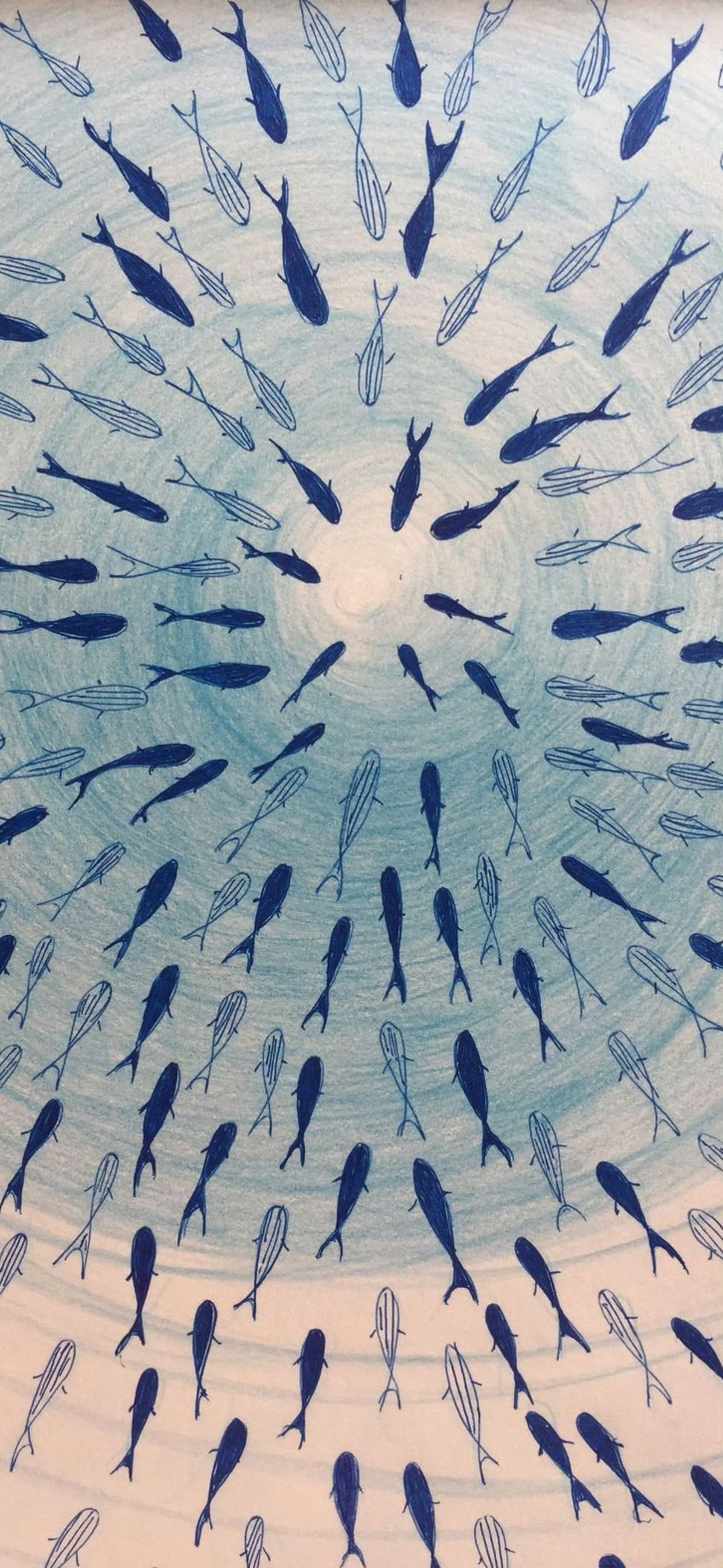 插画  手机壁纸 