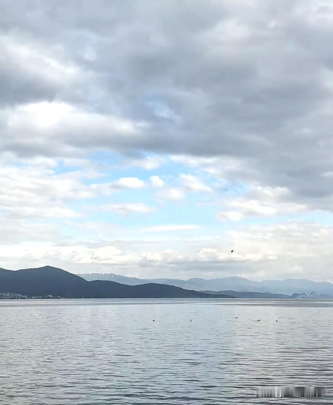 洱海的风景确实没话说，蓝水映着云、风吹着草，一眼看过去超治愈，但这趟骑行下来，满