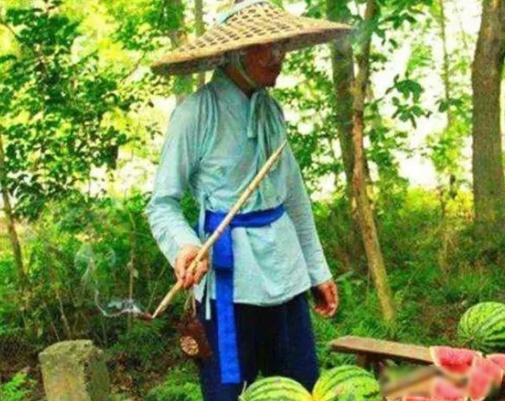 乾隆二十三年，皇帝微服私访出行，在路边口渴难耐，便想向老农讨一瓜解渴。结果吃完瓜