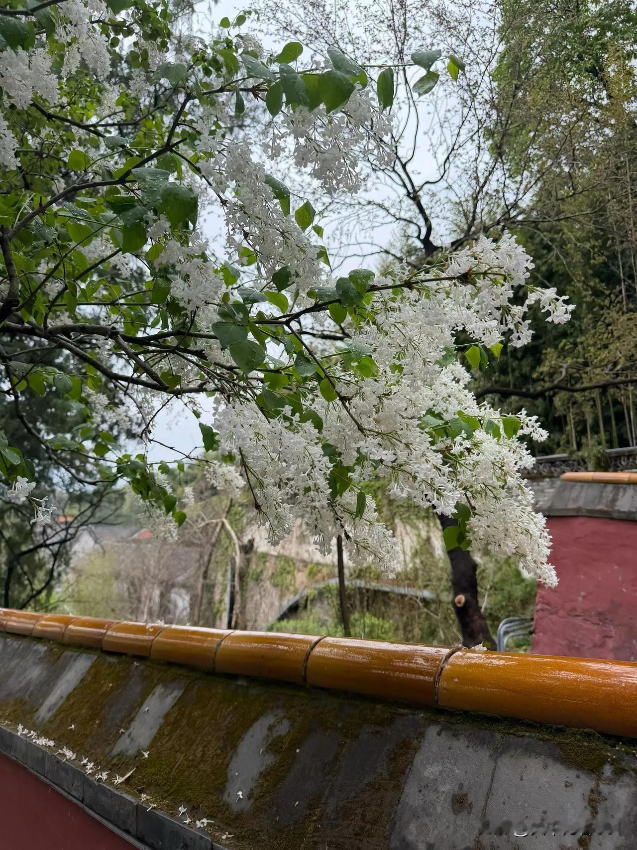 生活嘛
​一半是打工谋生，一半是快乐发疯
​剩下的时间，全部用来认真搞事啦。