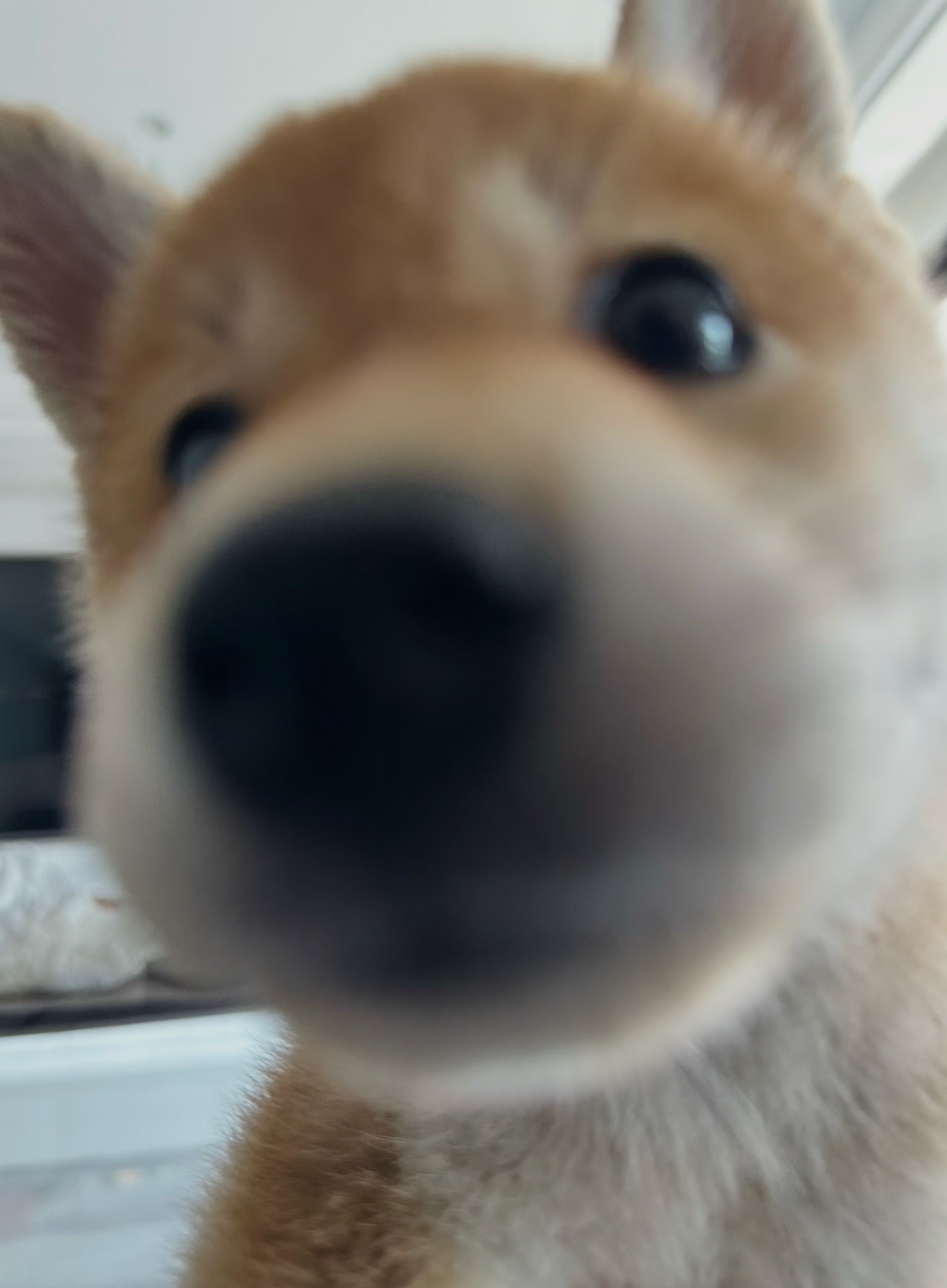www ​​​