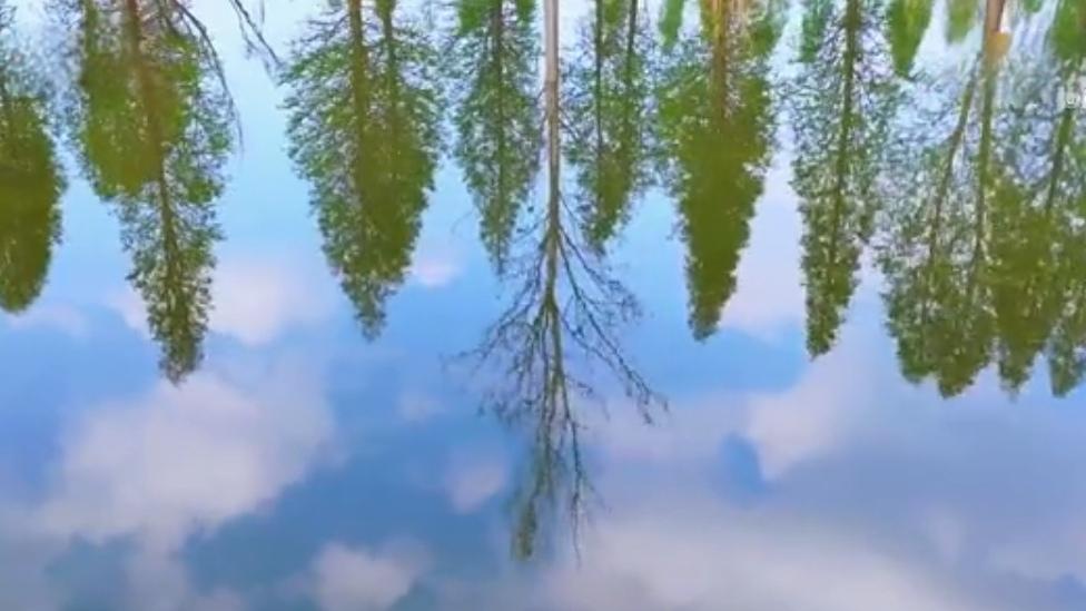 🔥滇池如镜！一湖春色美到封神
 滇池水如镜，把整片春城春光都装了进去。蓝天、远