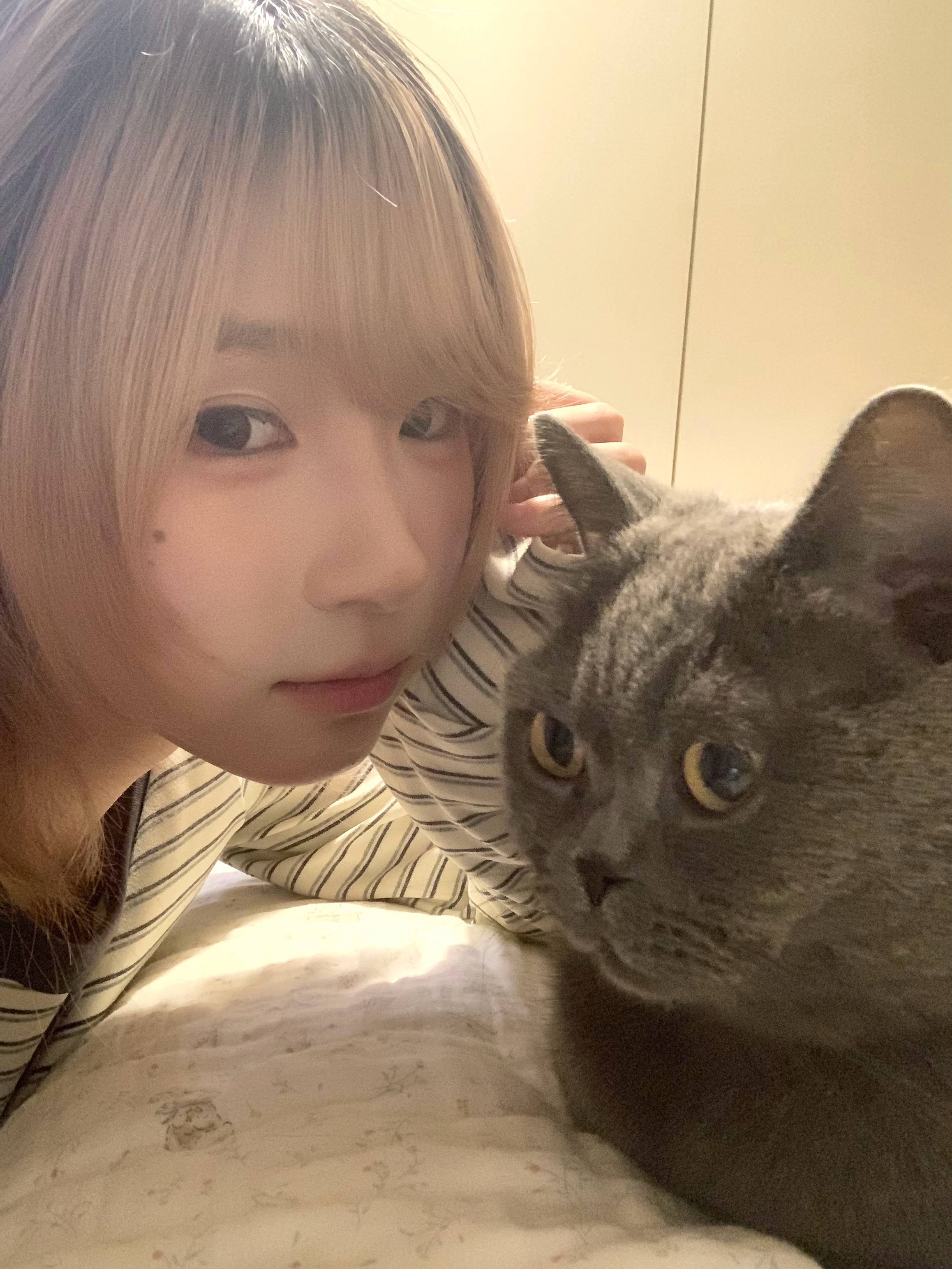 笨 