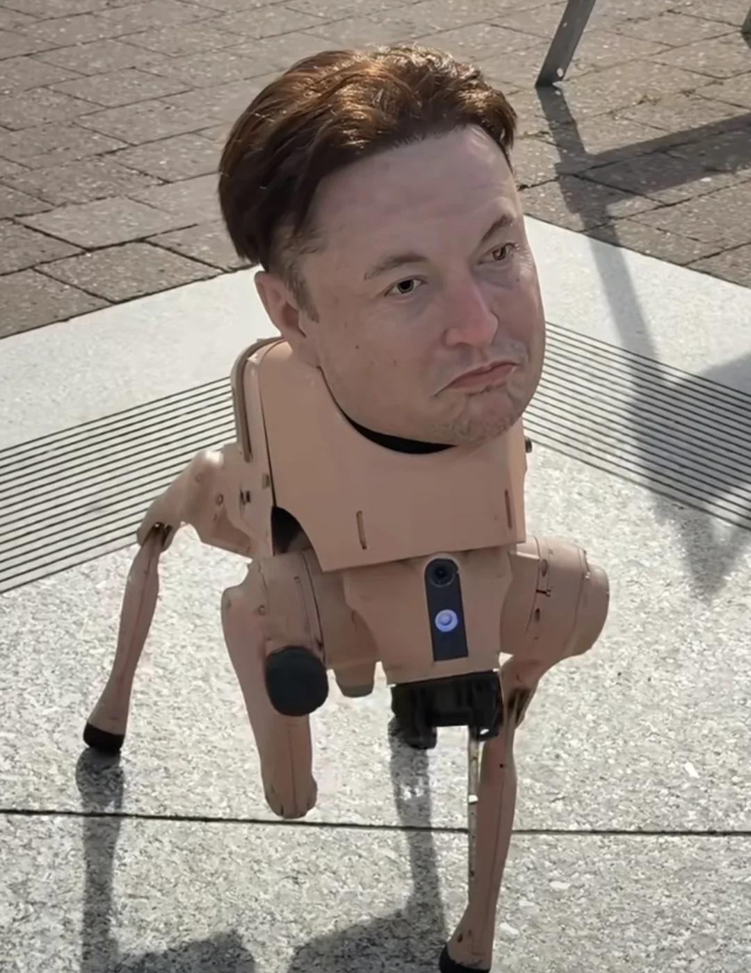 有花在野你还是太有先见之明了
不理解但尊重 好颠的世界 好像有点语无伦次 我不能