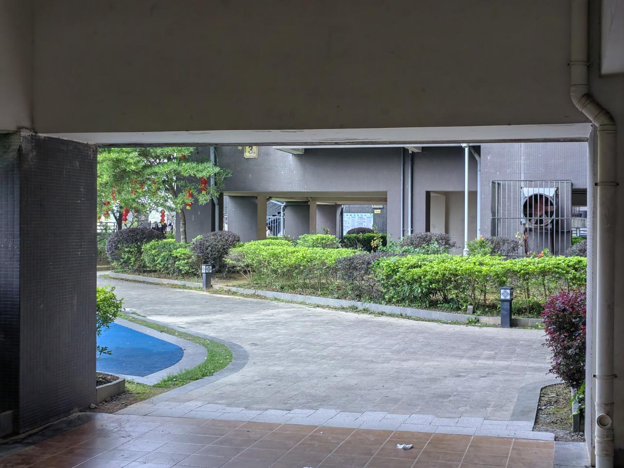 静谧的校园小道，绿意盎然，阳光洒落，静待归来的学子。