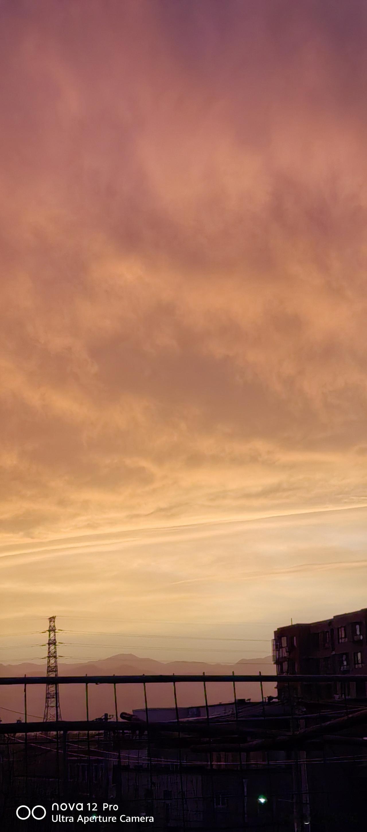 春日生活打卡季