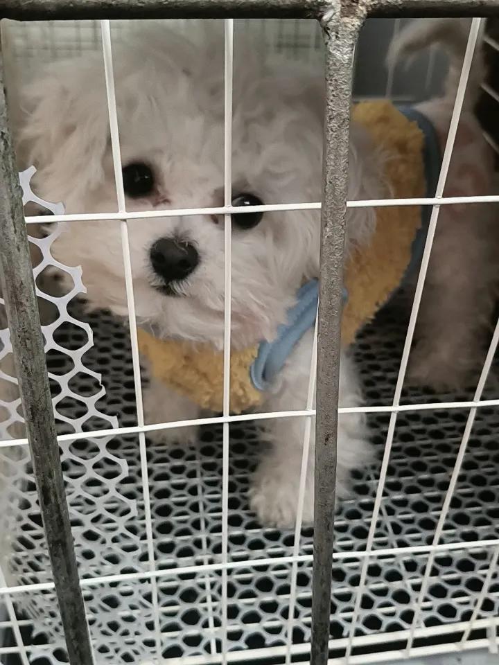 开心的是我的小熊来到我身边了，抖音上买的，虽然潦草，但是五官还是蛮好看的人。
不