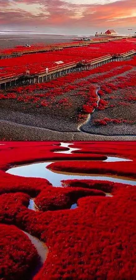 现代也未能彻底消除腐败啊！看来要克服和战胜“历史周期率”可真的是难上加难呀！