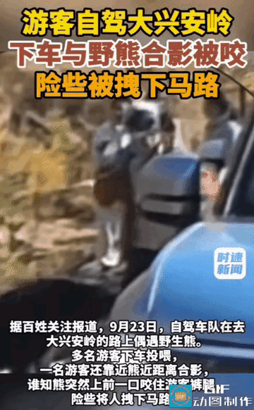 大兴安岭林区公路。
一行自驾队伍，偶遇一头小黑熊，男子下车，欲与小熊合照，小熊不