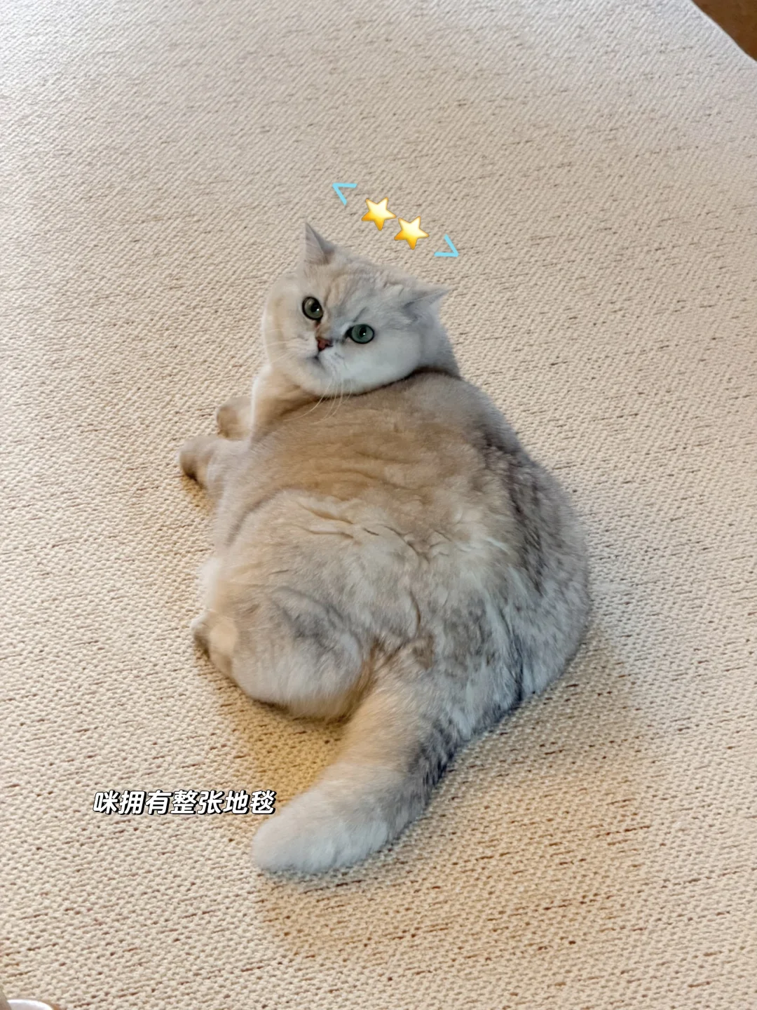 可爱咪🚰·̫🚰