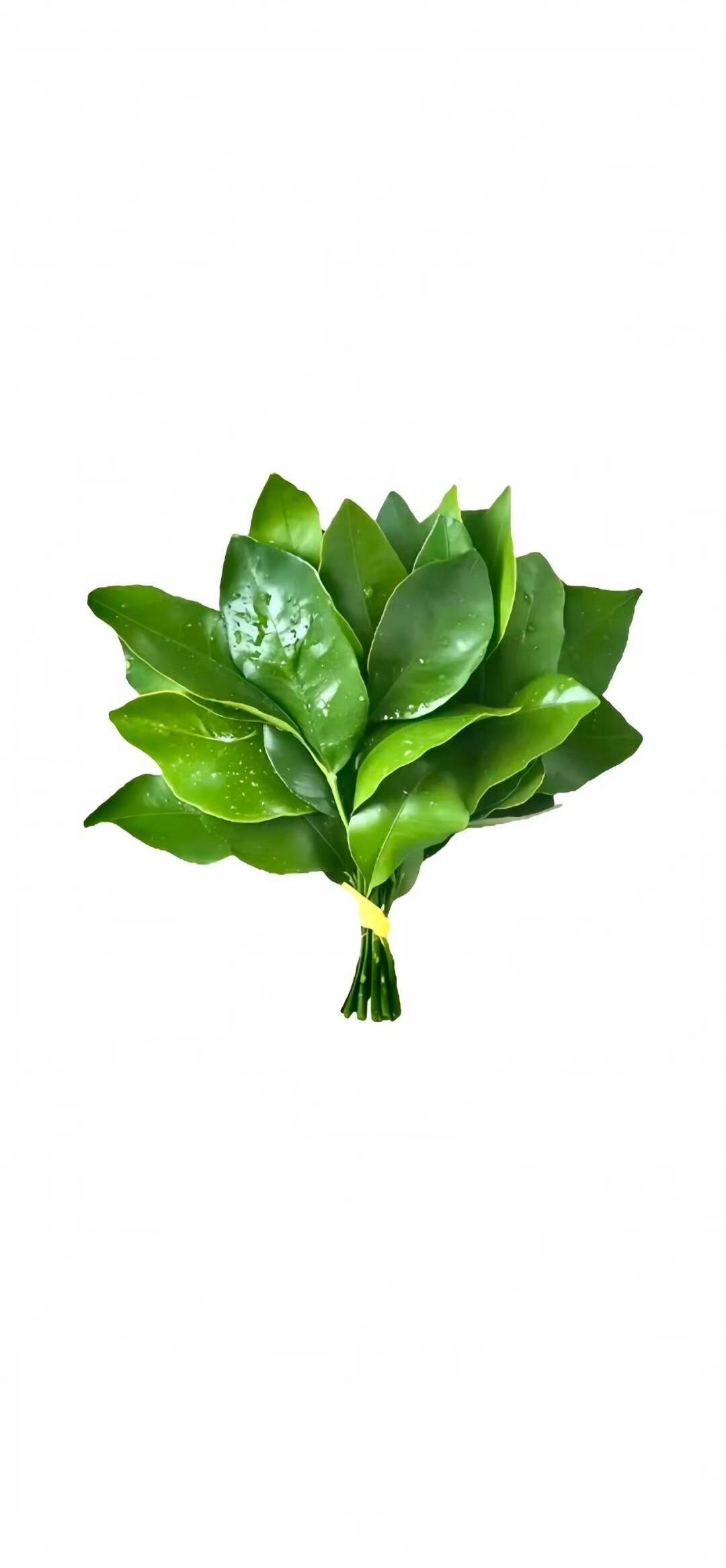 去去晦气～   希望工作顺利