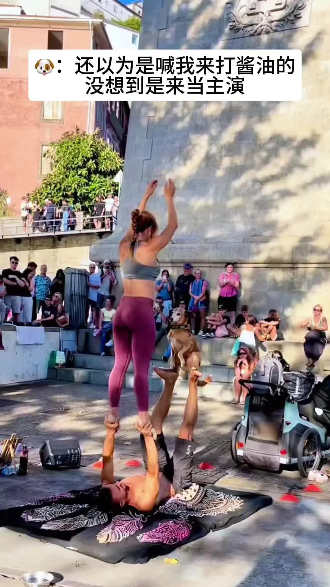 🐶：没有我这个家得饿肚子