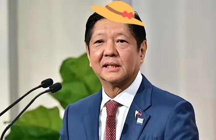 菲律宾传来消息
2026年4月29日，菲律宾政坛又爆大新闻！众议院司法委员会53