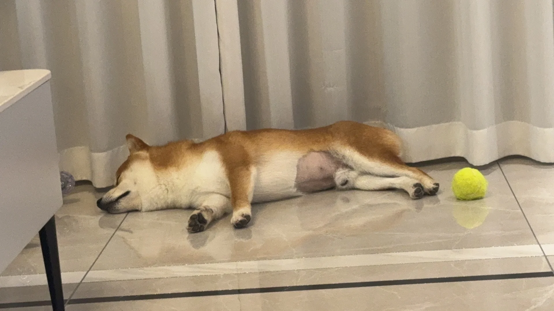 滑稽🤪