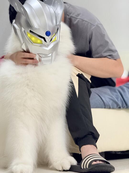 奥特耶上线