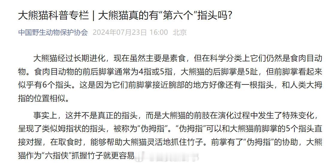 【#大熊猫到底几根指头#】#大熊猫真的有六个指头吗#?7月23日，据中国野生动物