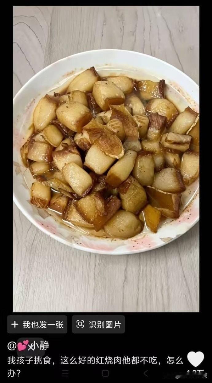 孩子挑食，这么好的红烧肉都不吃，怎么办