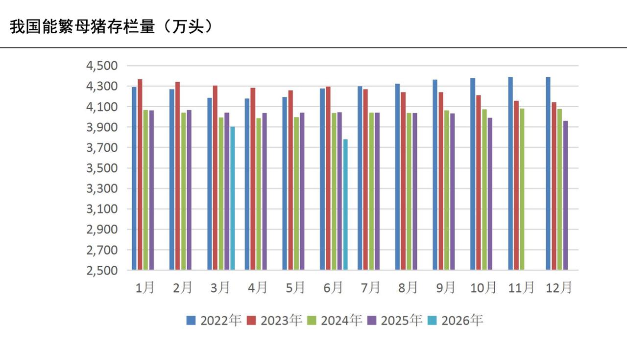当前国内的能繁母猪量回落到3780万头，但是能繁母猪正常保有量也被下调了，下调到